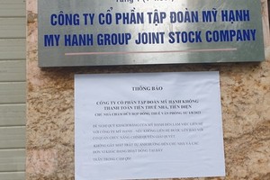 Tập đoàn Mỹ Hạnh vẽ dự án sâm Ngọc Linh huy động vốn thế nào?