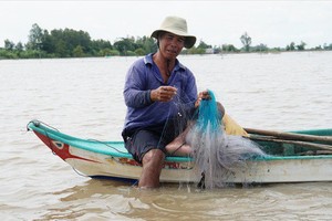 Chơi vơi mùa nước nổi: Đồng Tháp Mười 'đói' tôm, cá