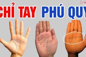 Dù nam hay nữ, bàn tay có 4 điểm này là có số hưởng