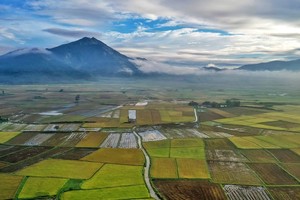 Cánh đồng Chư Jôr - 'bức họa' của người nông dân