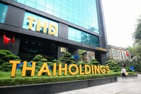 Không chia cổ tức, Thaiholdings “ôm” vốn chờ M&A bất động sản