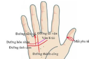 Bàn tay có dấu hiệu “độc - lạ” này: Chủ nhân được Thần Tài sủng ái