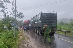 Cục Đăng kiểm Việt Nam báo cáo gì vụ TNGT nghiêm trọng ở Thanh Hóa?