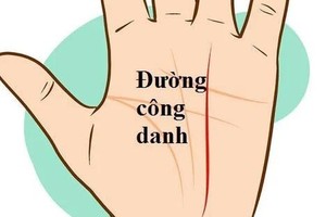 Dự đoán sự nghiệp, tiền tài qua đường công danh trong lòng bàn tay