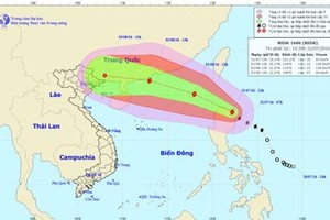 Khẩn trương ứng phó siêu bão Nida sức gió giật cấp 16-17