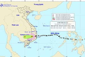 Đi qua Nam Tây Nguyên, bão số 12 suy yếu thành áp thấp nhiệt đới