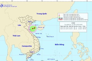 Áp thấp trên vịnh Bắc Bộ gây mưa giông diện rộng, nguy cơ lũ quét