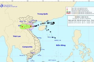 Bão số 4 đi vào Thanh Hóa suy yếu thành áp thấp nhiệt đới