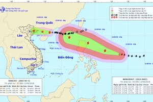 Tin khẩn: Bão số 5 đổ bộ chiều tối, mưa vừa, mưa to tại Đông Bắc Bộ