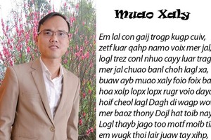 “Chữ Việt Nam song song 4.0“: Ồn ào... thất bại như sáng chế của PGS.TS Bùi Hiền?