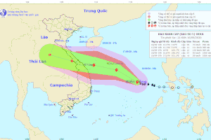 Ứng phó bão số 5: Các tỉnh miền Trung cấm biển, sơ tán dân