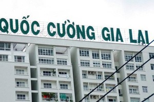 Không khởi tố vụ Quốc Cường Gia Lai bị tố chiếm đoạt hơn 2.800 tỷ