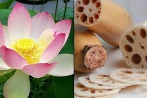 4 loại rau 'chất đống' ký sinh trùng, mắc ổ bệnh nếu không chế biến sạch