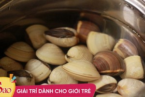 Làm sạch ngao với muối chưa đủ, thêm 1 thứ ắt nhả cát nhanh