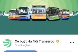 Transerco triển khai kênh tiếp nhận phản ánh về xe buýt trên zalo