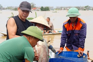 Hải Dương hỗ trợ người dân ảnh hưởng bão lũ kịp thời, công khai