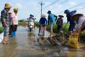 Hà Nội công bố tình huống khẩn cấp sạt lở đê ở Chương Mỹ