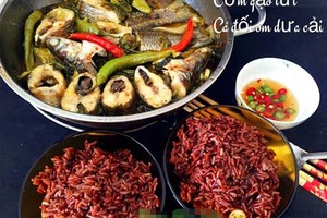 Gợi ý thực đơn bữa trưa ngon miệng cho cặp đôi văn phòng