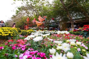 Cận cảnh lễ hội hoa xuân lớn nhất Tết 2017 ở Hà Nội