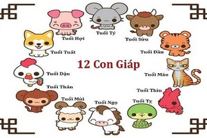 Dự đoán ngày 14/12/2020 cho 12 con giáp: Dần phát tài, Thìn khó khăn tài chính