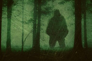 Tuyên bố "sốc": Quái vật Bigfoot có thật, đang lang thang ở Bắc Mỹ? 