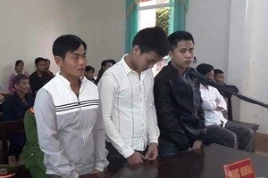 Trộm 70 con gà, 1 con bò, 3 thanh niên lãnh 50 tháng tù