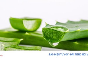 Mẹo chữa bỏng nắng đơn giản tại nhà