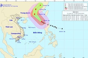 Bão số 8 nhiều khả năng đổi hướng, đêm nay Bắc Bộ tạnh ráo