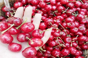 Cherry Trung Quốc 90.000/kg bán tràn lan