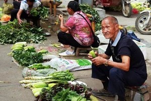 Con trai giả chết, đùn đẩy bố mẹ già nuôi cháu... nỗi đau gây sốc