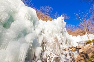 Giữa trời lạnh buốt, cảnh tượng không tin nổi này đã xảy ra...