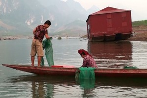 Video: Xem đồng bào Thái quăng bát quái bắt tôm thu 2 triệu/ngày