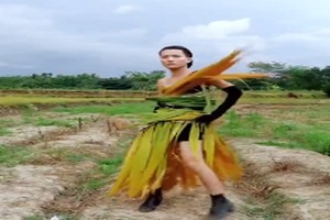 Video: Thần thái ngút ngàn của "siêu mẫu" catwalk trên... bờ ruộng