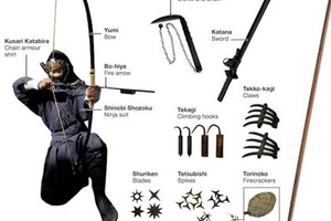 Hé lộ những sự thật thú vị về Ninja