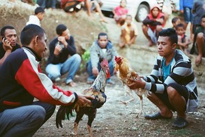 Tò mò cuộc sống ở ngôi làng "kín như bưng" của Indonesia