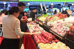 400.000 đồng/kg táo Nhật, nhiều người Việt săn lùng mua về ăn