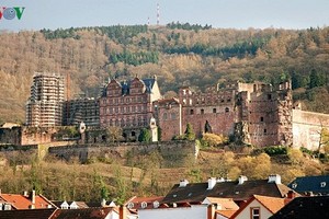 Mê đắm kiến trúc tuyệt vời của lâu đài cổ Heidelberg 