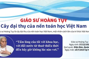 Giáo sư Hoàng Tụy - Cây đại thụ của nền toán học Việt Nam