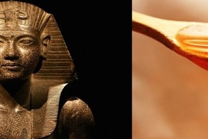 Vì sao người hầu của pharaoh Ai Cập thường bôi mật ong lên người?