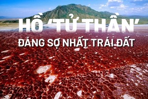 Hồ tử thần đáng sợ khiến mọi sinh vật rớt xuống 'hóa đá' bí ẩn