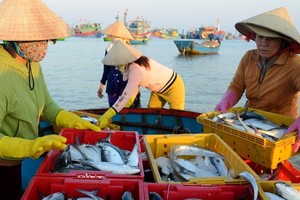 Chợ làng biển ở Quảng Ngãi, trên trời ánh bình minh