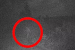 Xem ảnh cũ, bất ngờ thấy quái vật Bigfoot “hiện nguyên hình” 