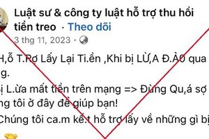 Bị lừa 200 triệu, tìm luật sư đòi lại tiền lại bị lừa tiếp