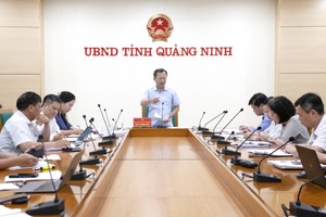 Sớm đưa vào hoạt động tuyến tham quan vịnh Bái Tử Long