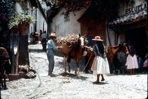 Bộ ảnh cuộc sống thanh bình ở Mexico đầu những năm 1950