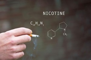 Nicotine trong thuốc lá có tác hại làm giảm khả năng học tập