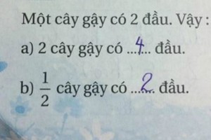 Bài toán tiểu học "1/2 cây gậy có mấy đầu" gây tranh cãi