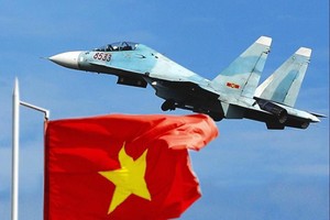 Biến thể Su-30MK, Su-30MK2 của Việt Nam khác gì nhau?