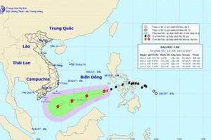 Bão số 15 mạnh cấp 10 đang di chuyển hướng nào?