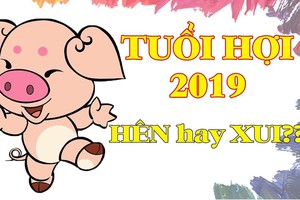 Video: Tử vi tuổi Hợi năm 2019 tốt hay xấu?